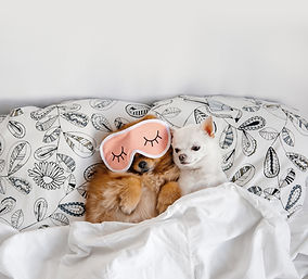 Cuddling Buddies