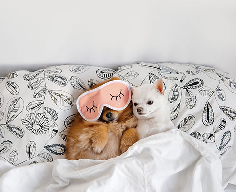 Cuddling Buddies