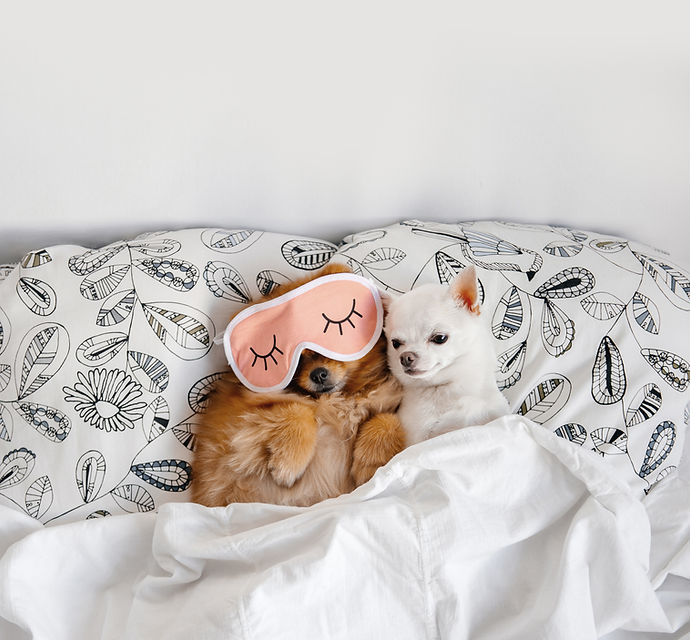 Cuddling Buddies