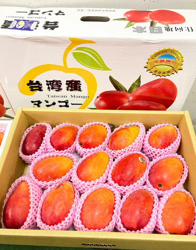 予約6月上旬】完熟台湾マンゴー 2.5kg 7玉入 原体箱 空輸 台湾産 航空