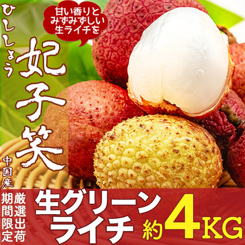 予約6月上旬】生グリーンライチ 約4kg 箱 妃子笑（ひししょう