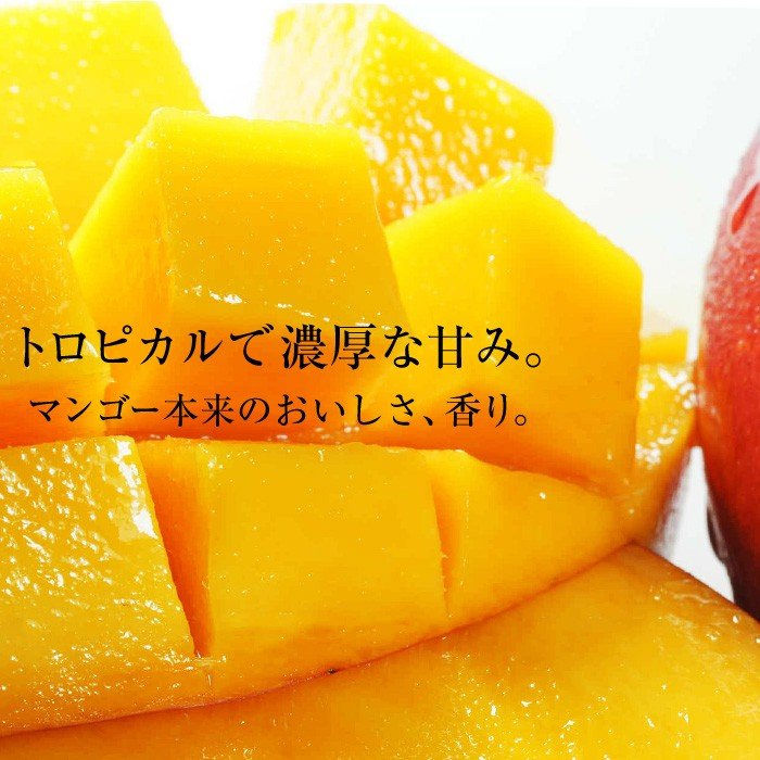 予約6月上旬】完熟台湾マンゴー 2.5kg 7玉入 原体箱 空輸 台湾産