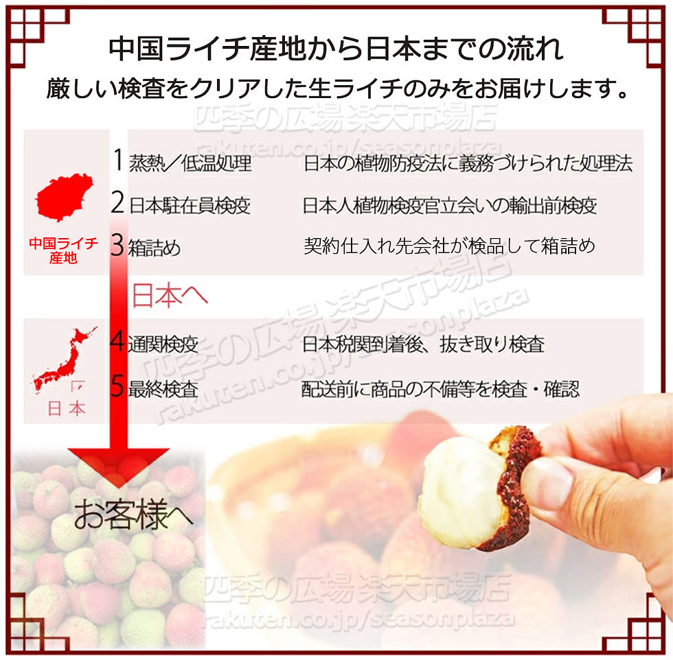 予約6月上旬】生グリーンライチ 約4kg 箱 妃子笑（ひししょう