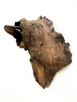 Remnant_03