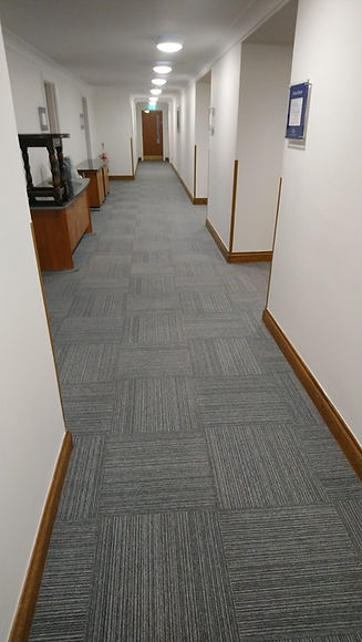 Cleaned carpet in commercial property