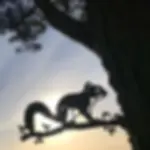Metal Squirrel on branch outside