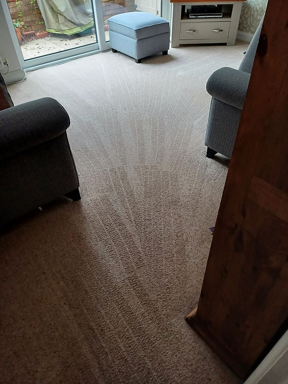 Just cleaned living room carpet
