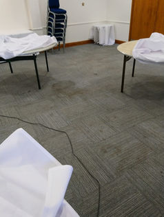 Commercial carpet cleaning before