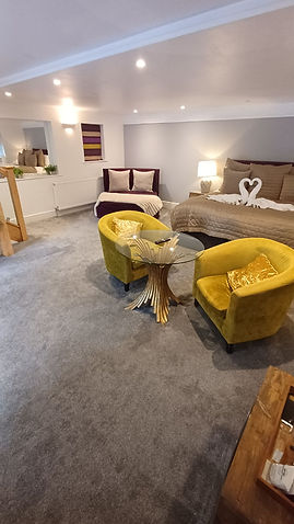 Hotel room after newly installed high quality carpets