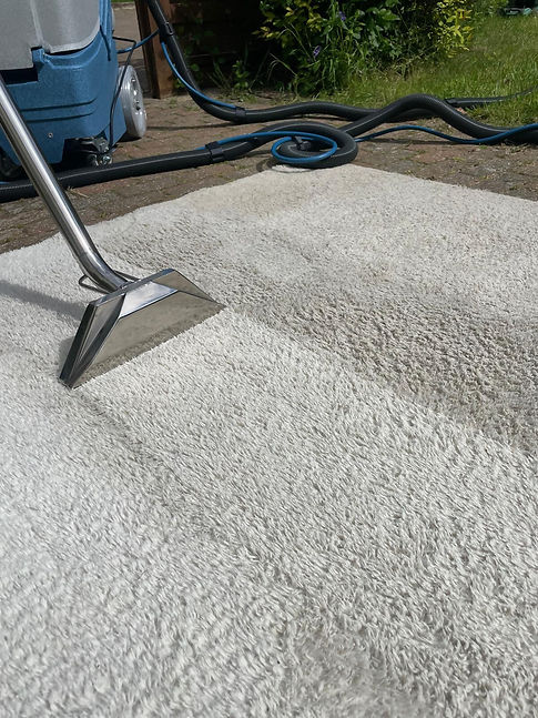 Professional carpet cleaning