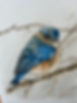 Sketch of a blue bird