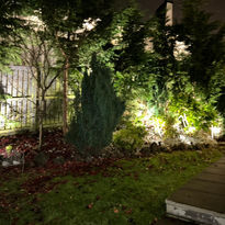 Lights in garden