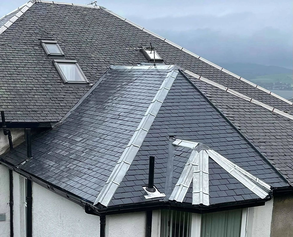 Repaired pitched roof