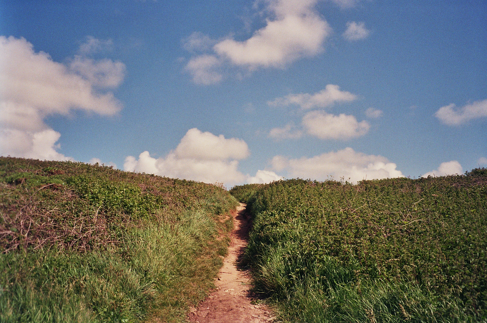 nice little path.png