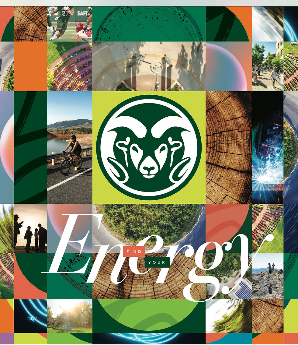 PRIVATE Offsite Team Building Event