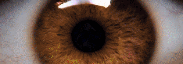 ezgif.com-gif-maker (32).gif