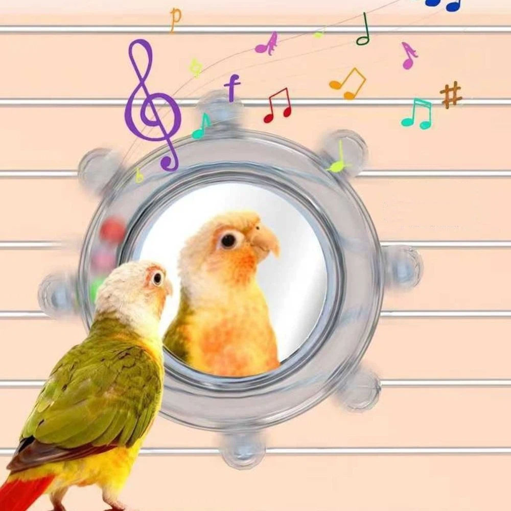 Colorful Ball Parrot Mirror Wear-Resisting Spinning Puzzle Bird Mirror Perch wit