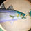 Thumbnail: Groovy Bowls Custom- Made For You! By Artist Marianne Ravenna