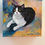 Thumbnail: Let Carole Nastars create acrylic paintings of your special cats