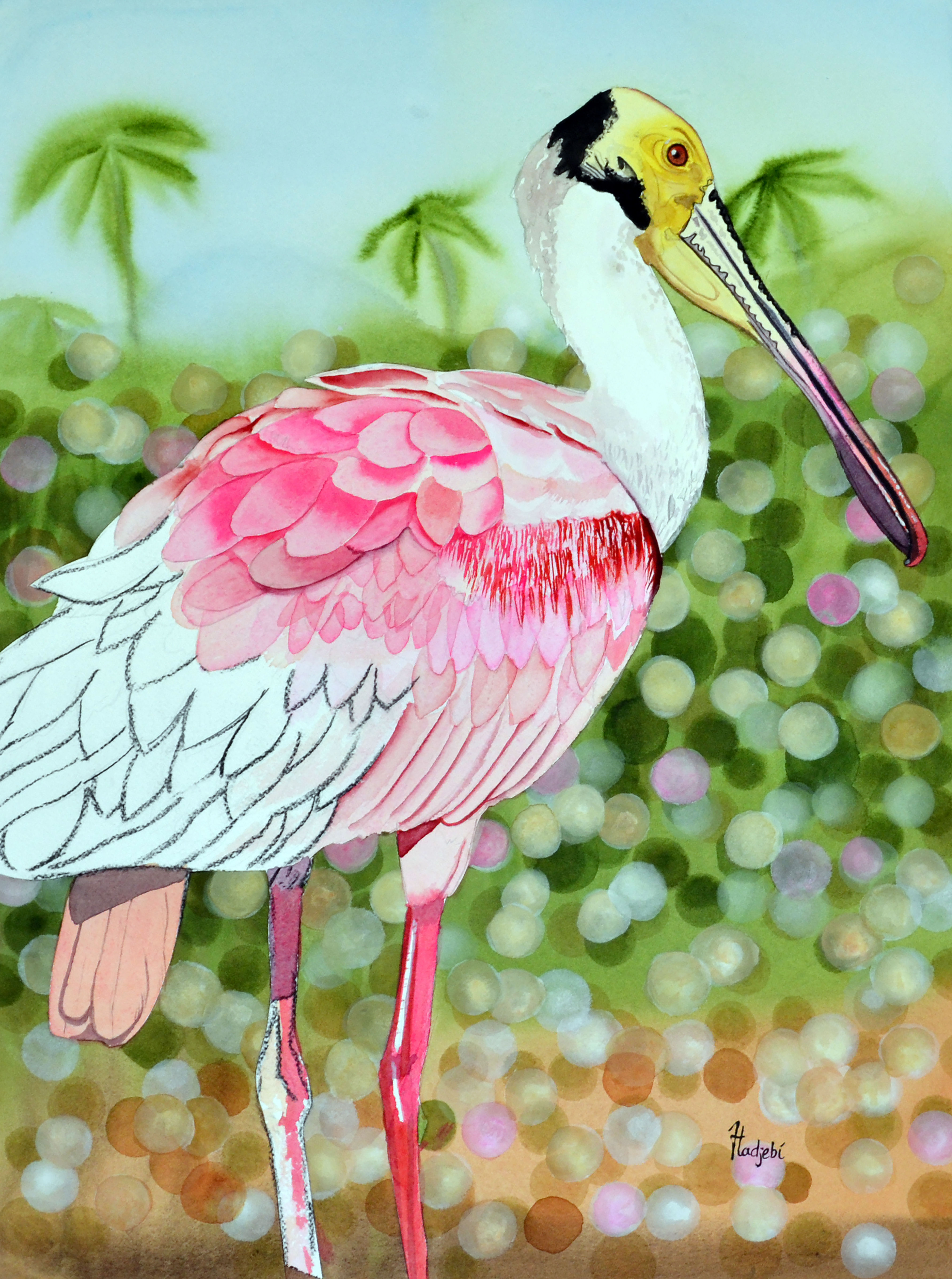 Shah Hadjebi, Imaginary Lines Spoonbill