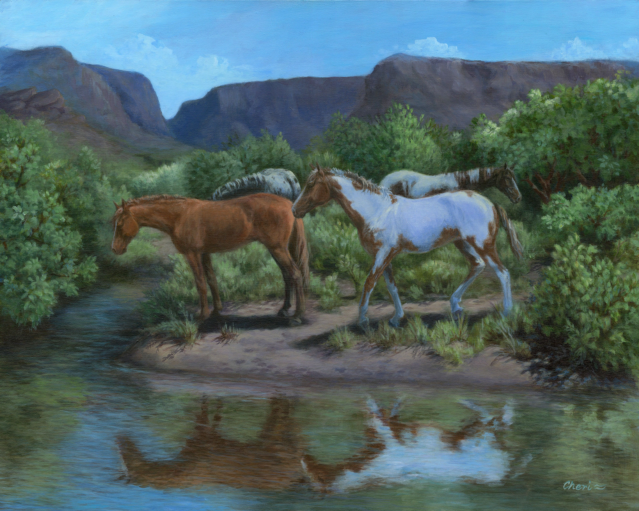 New Mexico Reflections