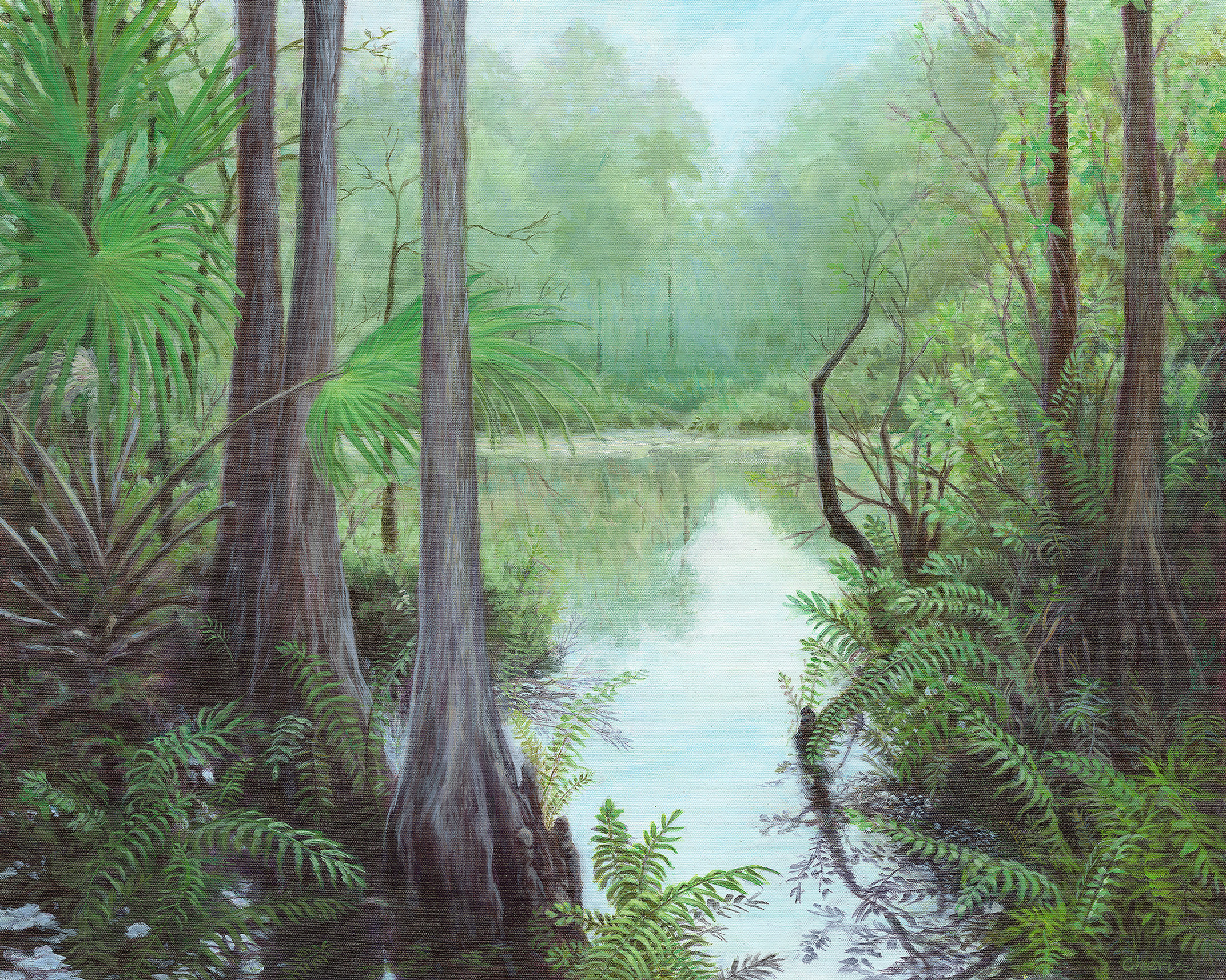 Six Mile Cypress Preserve