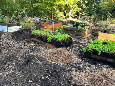 How Local Organic Farms Power Food Security and Environmental Wellness in Greensboro