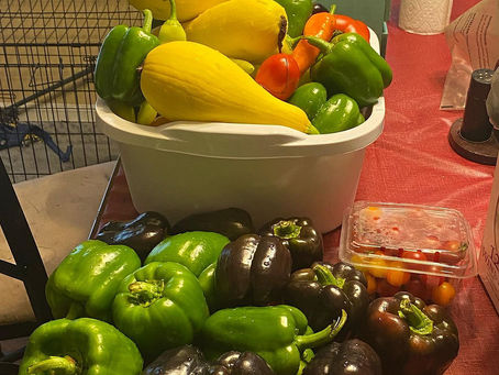 Why Regenerative Agriculture Matters for North Carolina’s Local Food Security