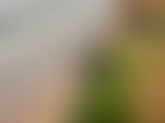 Rainwater Harvesting for Small Farms: A Practical Guide to Saving Water Naturally