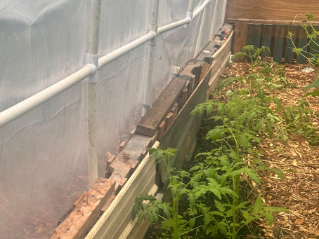 Rainwater Harvesting for Small Farms: A Practical Guide to Saving Water Naturally