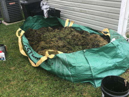 From Sun to Soil: How Solar Energy Powers Regenerative Farming at Gerard’s Green Garden