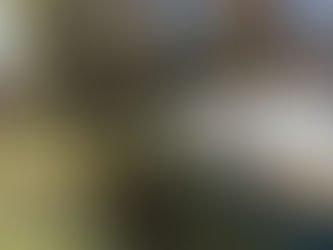 Sun-Powered Harvests: How Solar Cuts a Small Farm’s Carbon Footprint in North Carolina