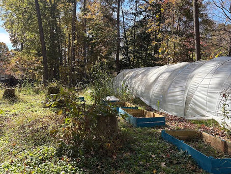 Sun-Powered Harvests: How Solar Cuts a Small Farm’s Carbon Footprint in North Carolina