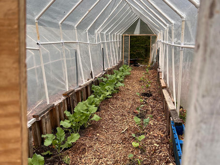 How Community-Supported Agriculture Builds Stronger Local Food—and Healthier Soil