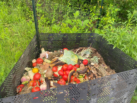 From Soil to Supper: How Community-Supported Agriculture Strengthens Local Food Security in Greensboro