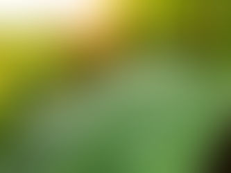 Why Rainwater Makes Farms Stronger: Simple Wins for Soil, Crops, and Community