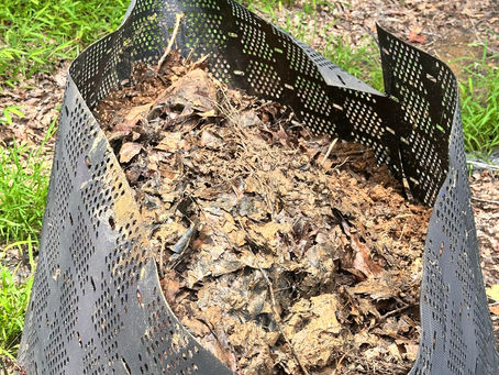 Greensboro Gardener’s Practical Guide to Rainwater Harvesting