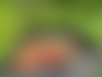 Plan Your Regenerative Garden: Simple Steps for Healthy Soil and Abundant Harvests