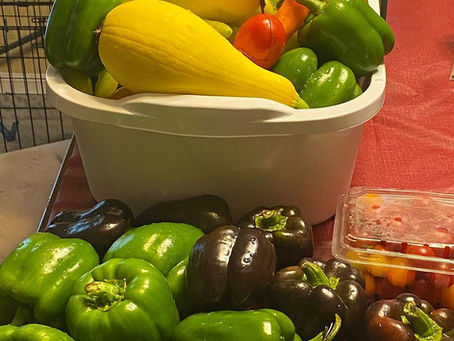 How Community Supported Agriculture Builds Local Food Security in Greensboro and the Piedmont