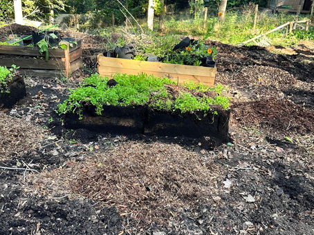 Soil Health = Food Security: Greensboro's Path Forward