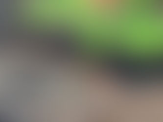 From Scraps to Soil: How Vermicomposting Naturally Supercharges Fertility