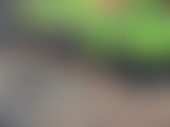 How Regenerative Agriculture Revitalizes Soil Ecosystems at Gerard's Green Garden