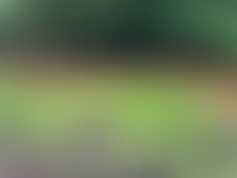 From Soil to Stream: How Regenerative Agriculture Restores Greensboro’s Ecosystems