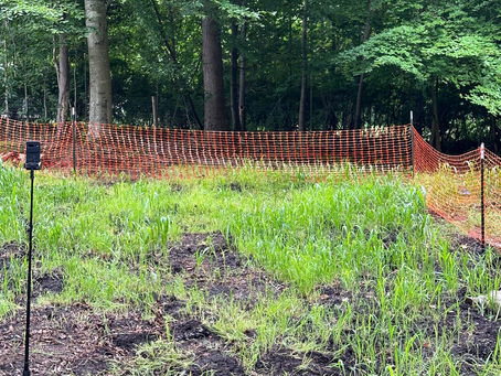 From Soil to Stream: How Regenerative Agriculture Restores Greensboro’s Ecosystems
