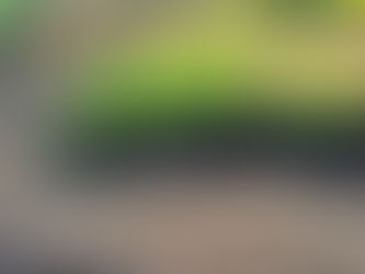 Mulch for Moisture: A Regenerative Guide for Greensboro Gardens