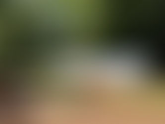 How CSA Boosts Our Local Food System in Greensboro