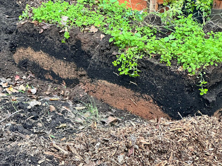 Mulching That Matters: Water-Smart, Soil-Rich Strategies for Greensboro Gardens