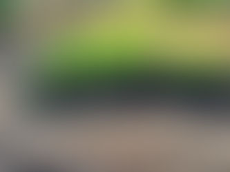 Mulch Matters: Keep Water in Your Soil and Strength in Your Plants