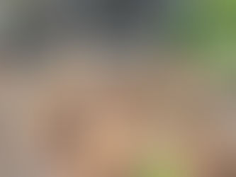 Is Your Garden Soil Ready? 7 Simple Checks Before Spring Planting