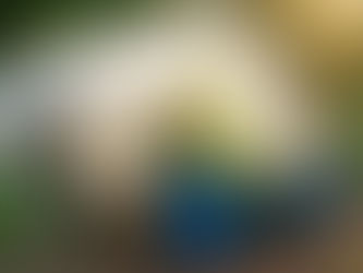 Rainwater Harvesting for Small Farms: A Practical Guide to Saving Water Naturally